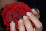 04_10_09_white_french_rose_2.jpg