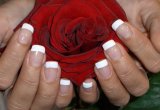 04_10_09_white_french_rose_2.jpg